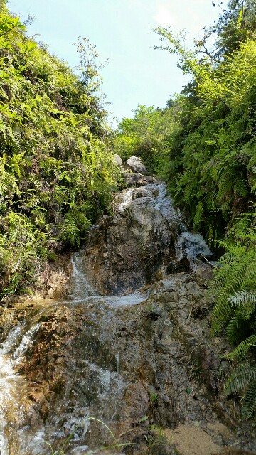 f:id:wide-tree:20160509075850j:image f:id:wide-tree:20160509075850j:image