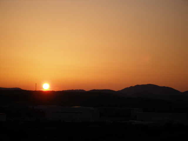 f:id:wild_cat:20130122181029j:plain f:id:wild_cat:20130122181029j:plain