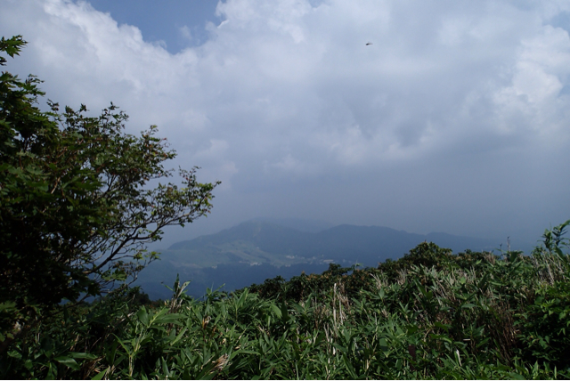 f:id:wild_cat:20130818054111j:plain f:id:wild_cat:20130818054111j:plain