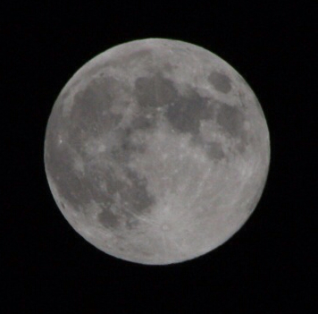 f:id:wild_cat:20130929121850j:plain f:id:wild_cat:20130929121850j:plain