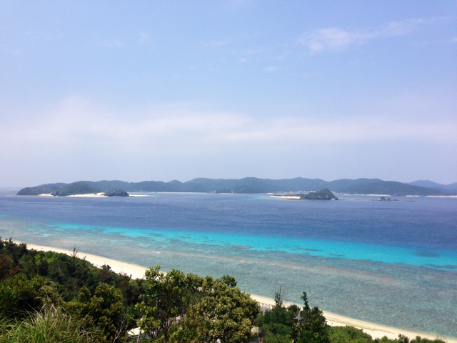 f:id:wild_cat:20140521164042j:plain f:id:wild_cat:20140521164042j:plain