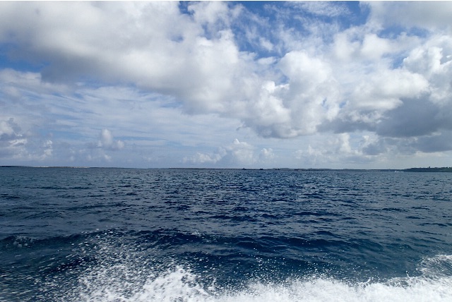 f:id:wild_cat:20150618143125j:image f:id:wild_cat:20150618143125j:image