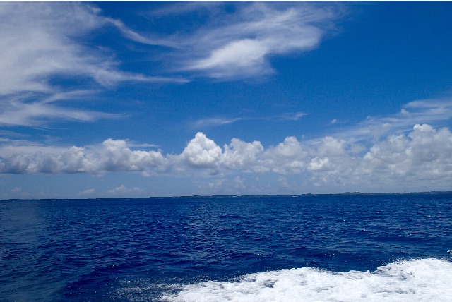 f:id:wild_cat:20150619043212j:image f:id:wild_cat:20150619043212j:image