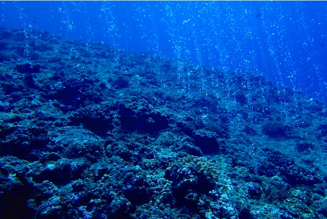 f:id:wild_cat:20150619044039j:image f:id:wild_cat:20150619044039j:image