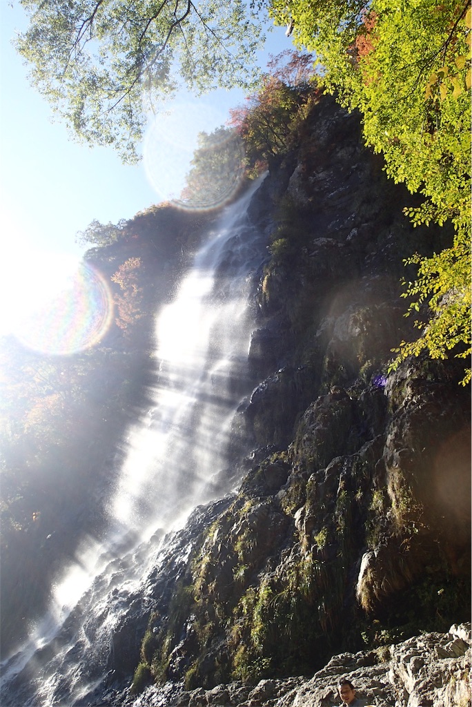 f:id:wild_cat:20151019123320j:image f:id:wild_cat:20151019123320j:image