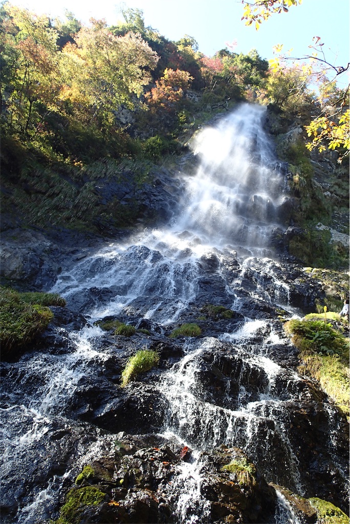 f:id:wild_cat:20151019123346j:image f:id:wild_cat:20151019123346j:image