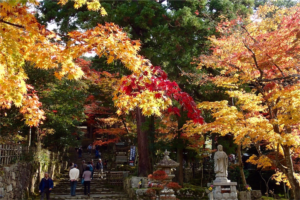 f:id:wild_cat:20151117115358j:image f:id:wild_cat:20151117115358j:image