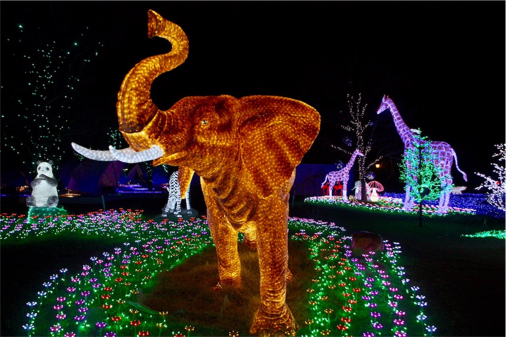 f:id:wild_cat:20160414142037j:image f:id:wild_cat:20160414142037j:image