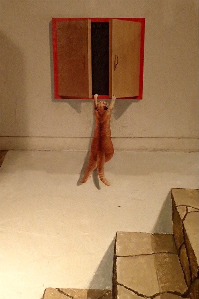 f:id:wild_cat:20160414142455j:image f:id:wild_cat:20160414142455j:image