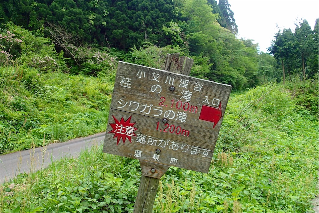 f:id:wild_cat:20160514122134j:image f:id:wild_cat:20160514122134j:image