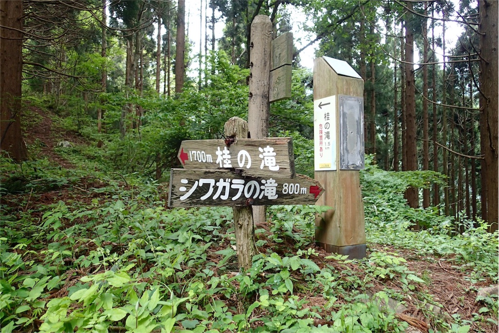 f:id:wild_cat:20160514122157j:image f:id:wild_cat:20160514122157j:image