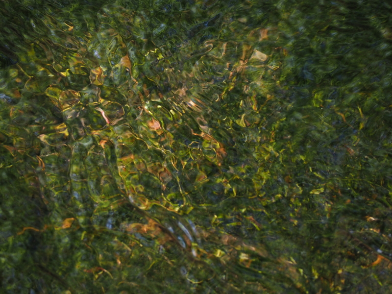 f:id:winged1:20150608054056j:plain f:id:winged1:20150608054056j:plain