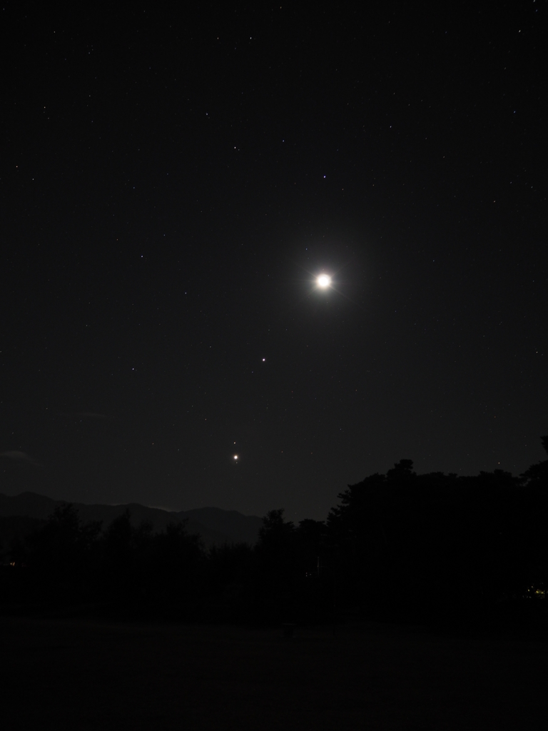 f:id:winged1:20151107041951j:plain f:id:winged1:20151107041951j:plain