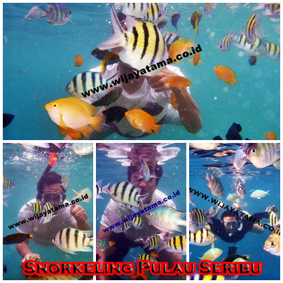 f:id:wisatapulauseribu:20151208133353j:plain