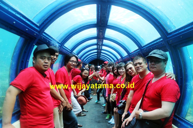 f:id:wisatapulauseribu:20151208133459j:plain