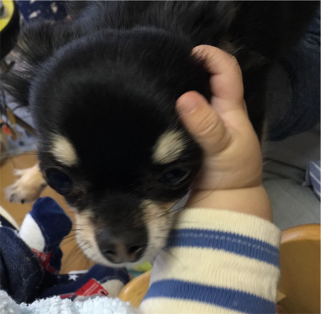 f:id:withme24:20160108145404j:image f:id:withme24:20160108145404j:image