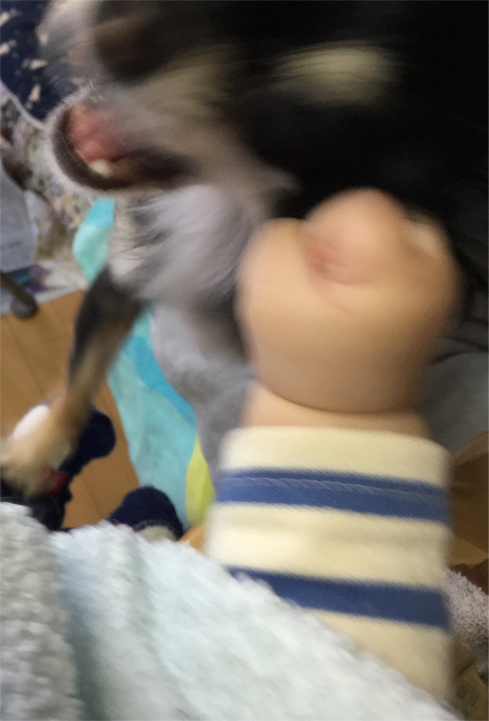 f:id:withme24:20160108145436j:image f:id:withme24:20160108145436j:image