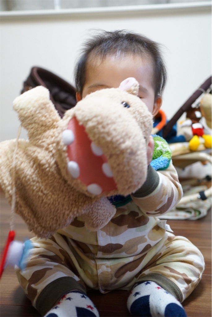 f:id:withme24:20160118133435j:image f:id:withme24:20160118133435j:image