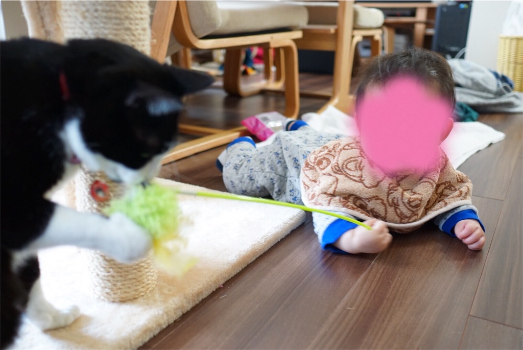 f:id:withme24:20160211124122j:image f:id:withme24:20160211124122j:image