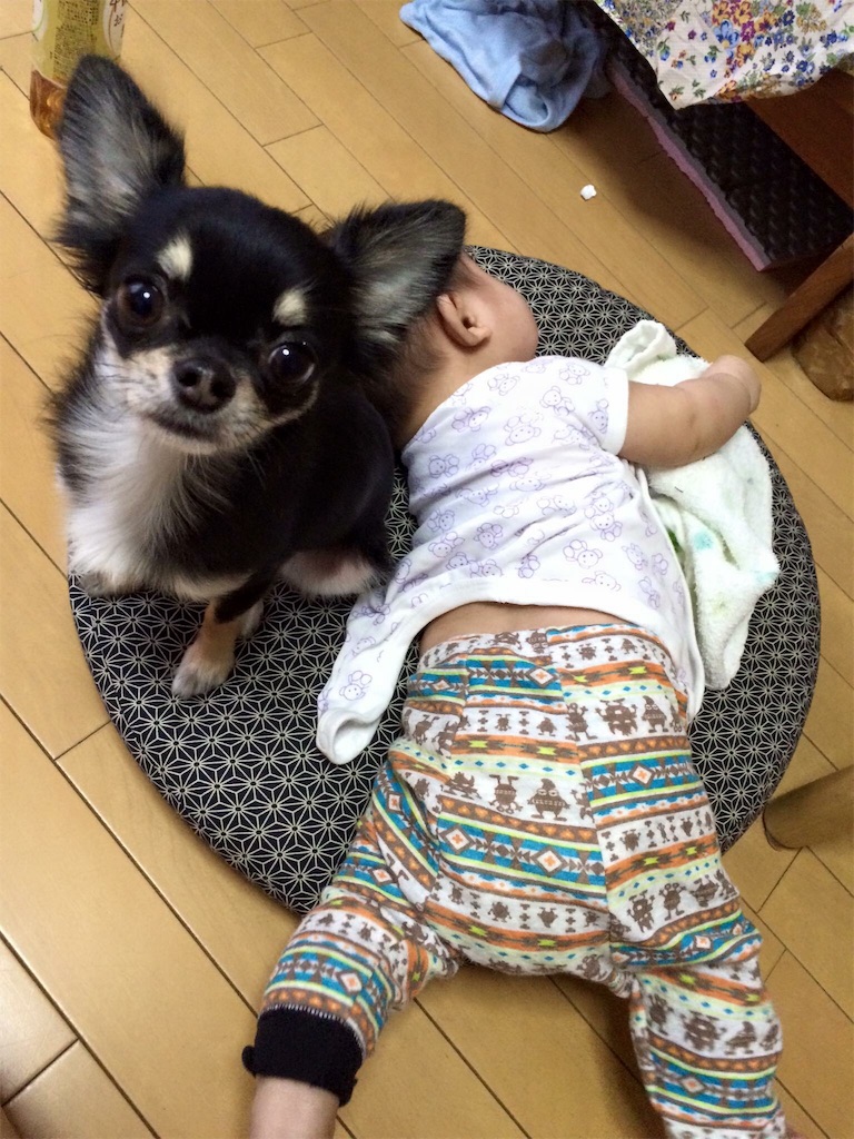 f:id:withme24:20160301185609j:image f:id:withme24:20160301185609j:image