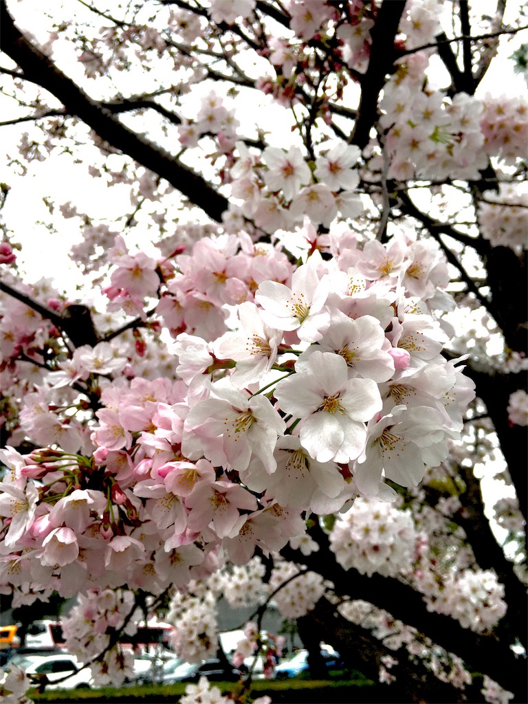f:id:withme24:20160402165155j:image f:id:withme24:20160402165155j:image