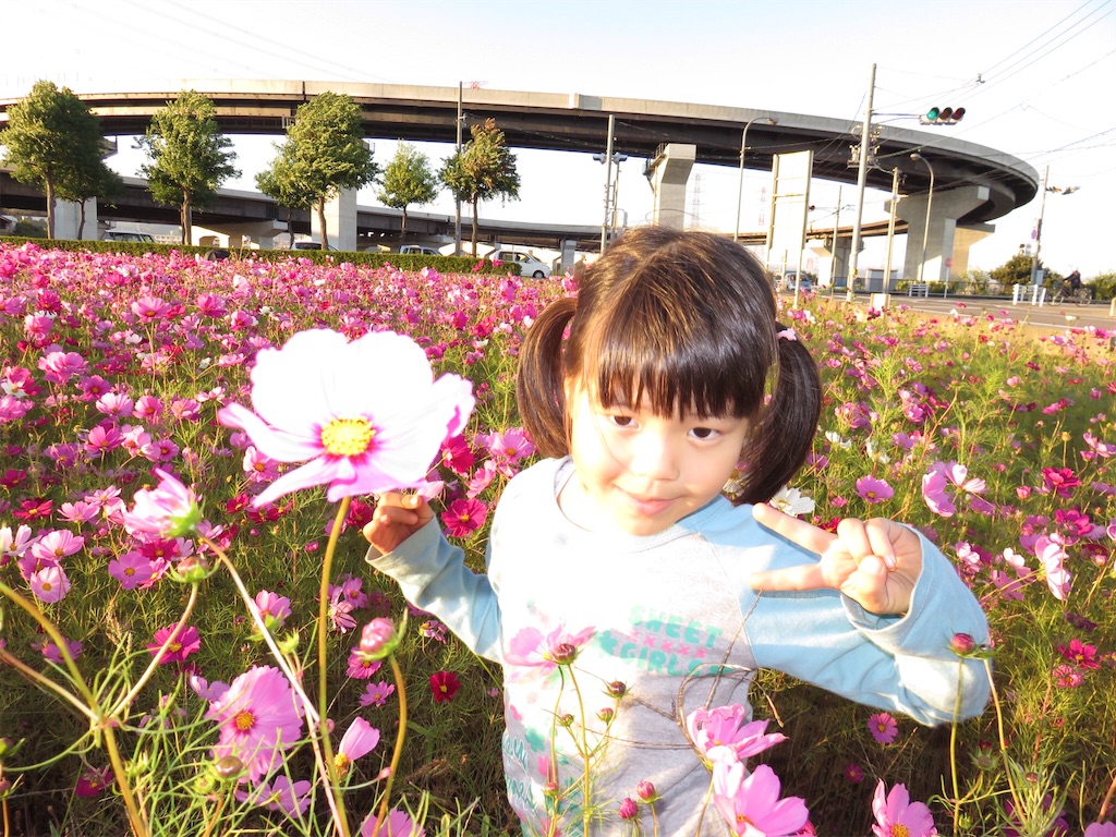 f:id:wonder1ace:20151018183556j:image f:id:wonder1ace:20151018183556j:image
