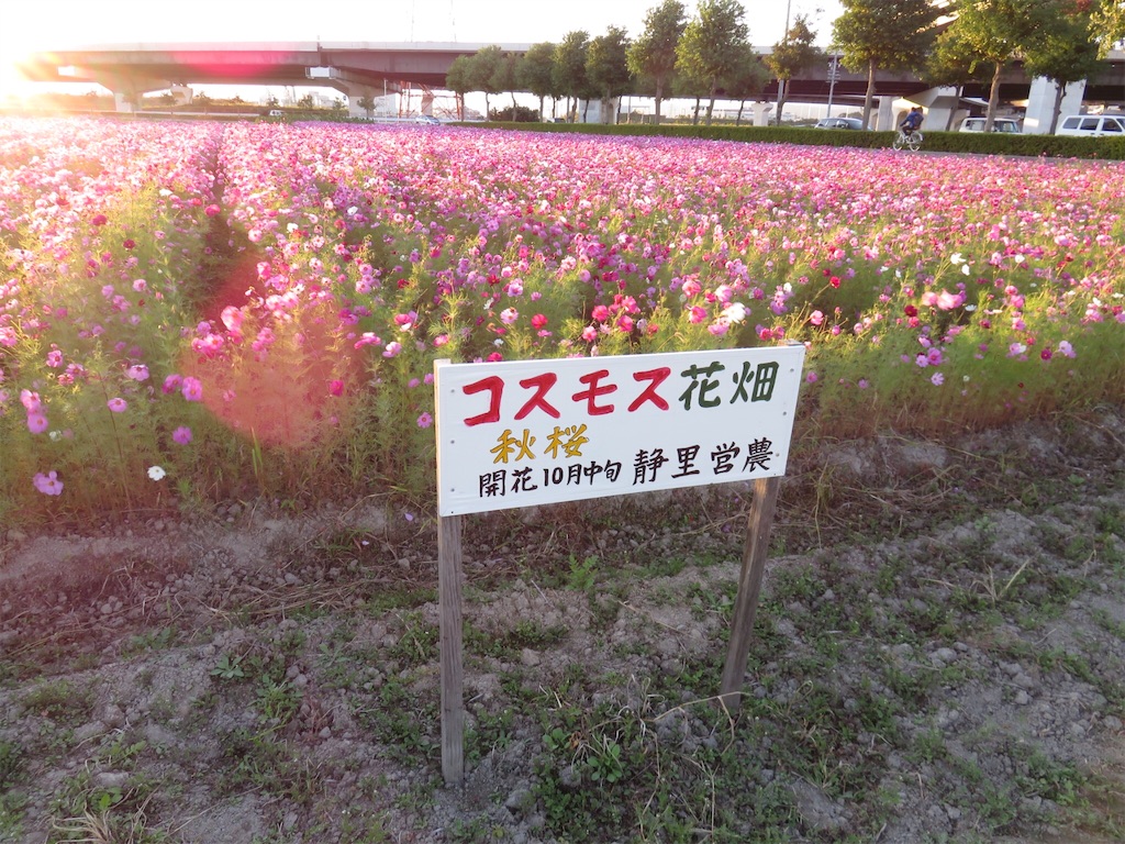f:id:wonder1ace:20151018183645j:image f:id:wonder1ace:20151018183645j:image