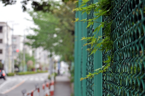 f:id:wonodas:20120510014921j:image