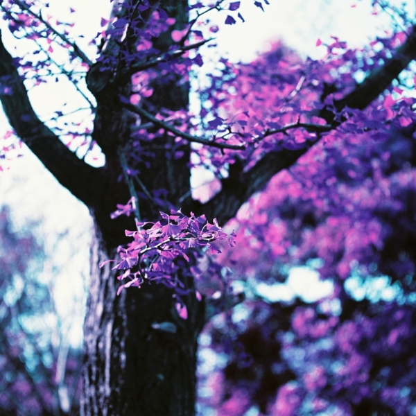 f:id:wonodas:20140510220914j:image