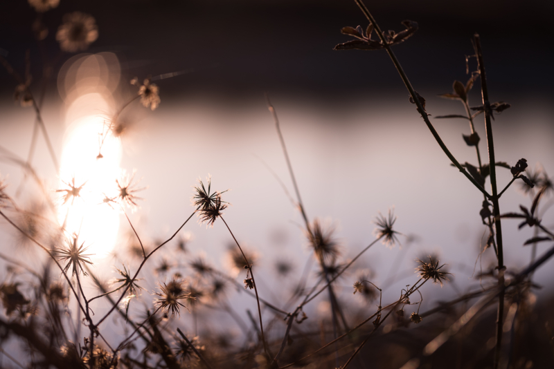 f:id:wonodas:20150109222716j:plain