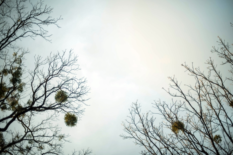 f:id:wonodas:20150408025838j:plain f:id:wonodas:20150408025838j:plain