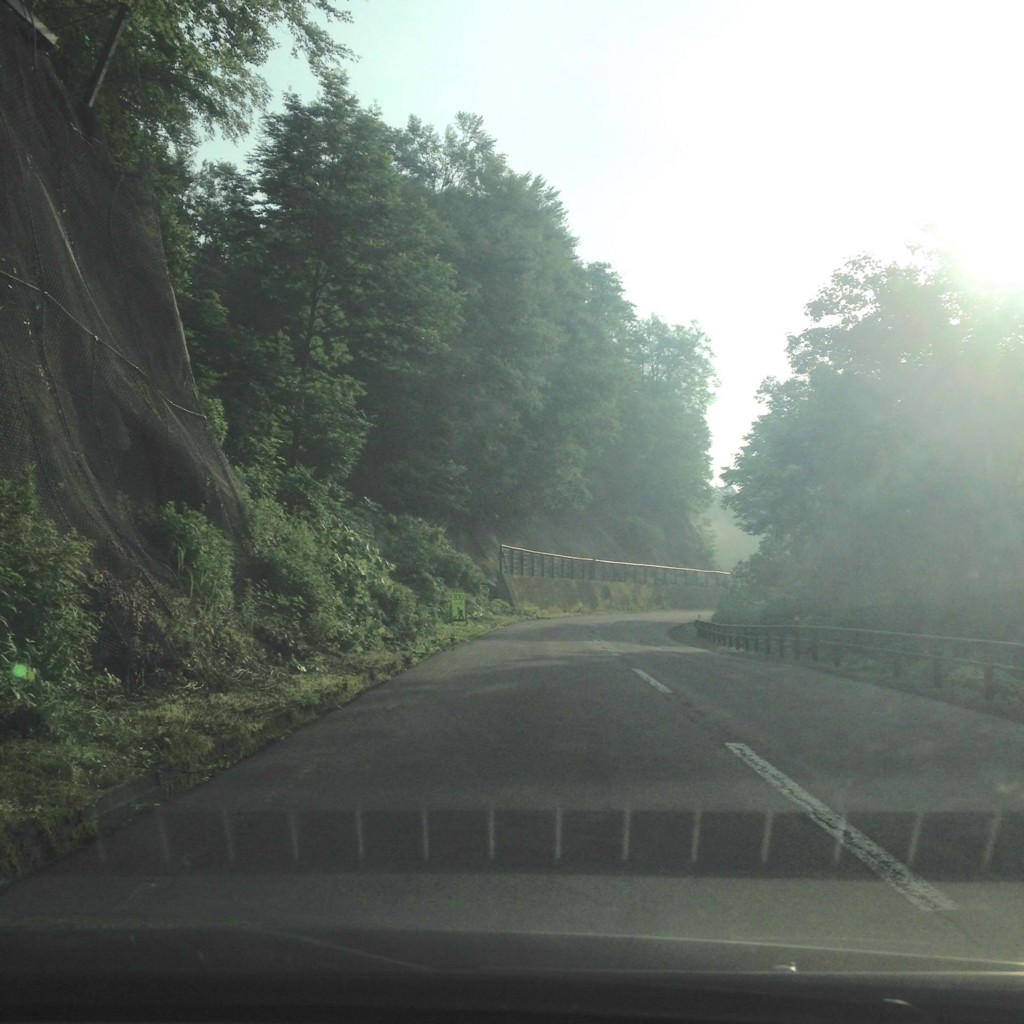 f:id:wordleaf:20150627202842j:plain f:id:wordleaf:20150627202842j:plain