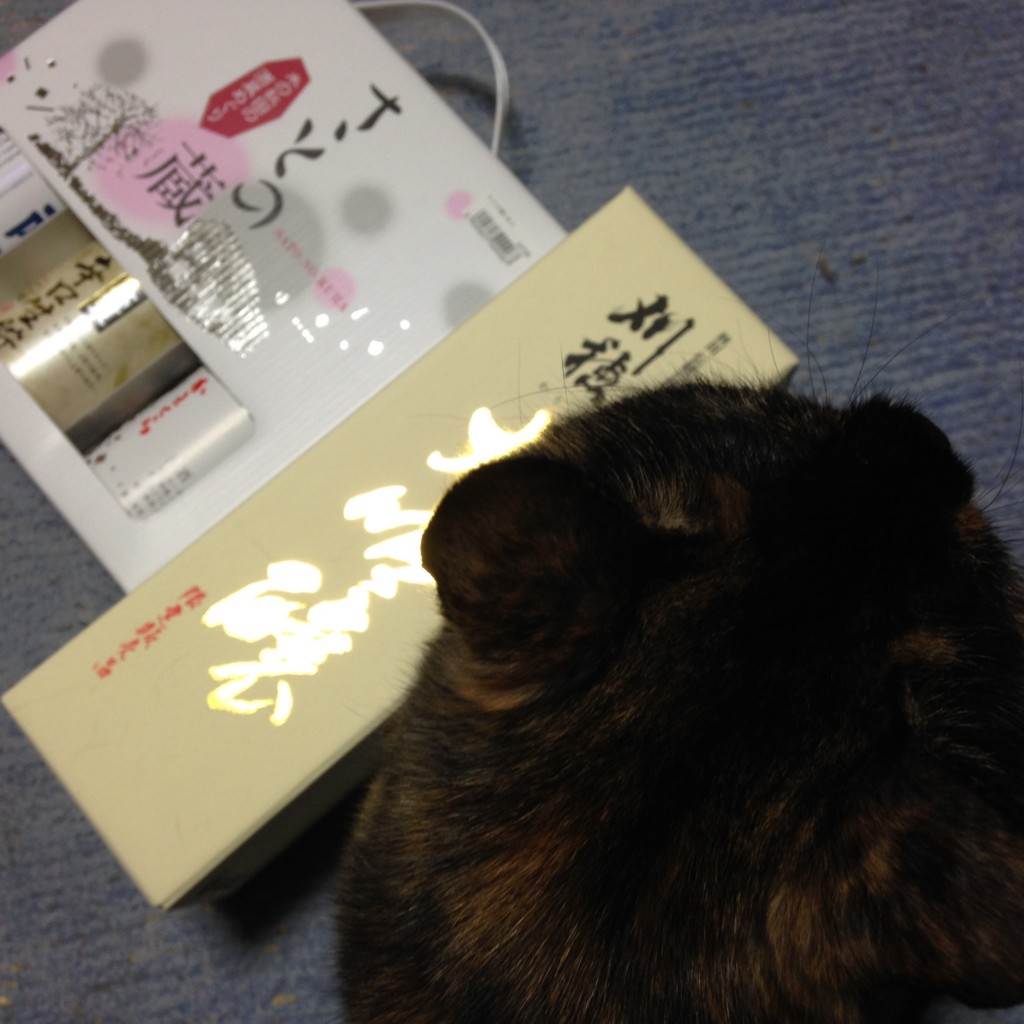 f:id:wordleaf:20150628235208j:plain f:id:wordleaf:20150628235208j:plain