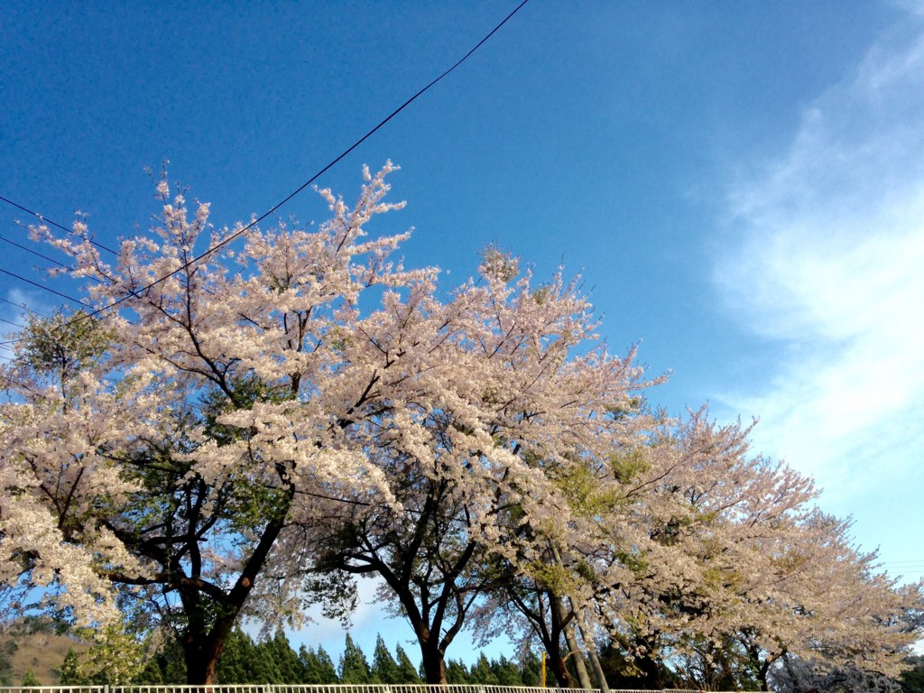 f:id:wordleaf:20160504203143j:plain