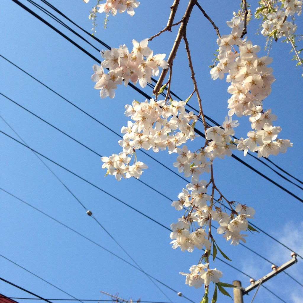 f:id:wordleaf:20160504203221j:plain