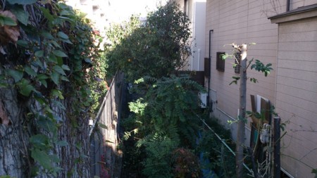 f:id:worris:20121125202622j:plain f:id:worris:20121125202622j:plain