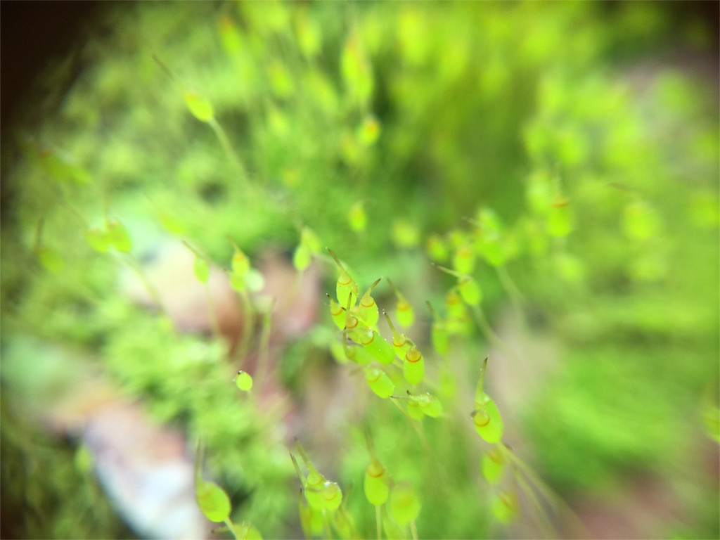 f:id:writertakuma:20160308042631j:image f:id:writertakuma:20160308042631j:image