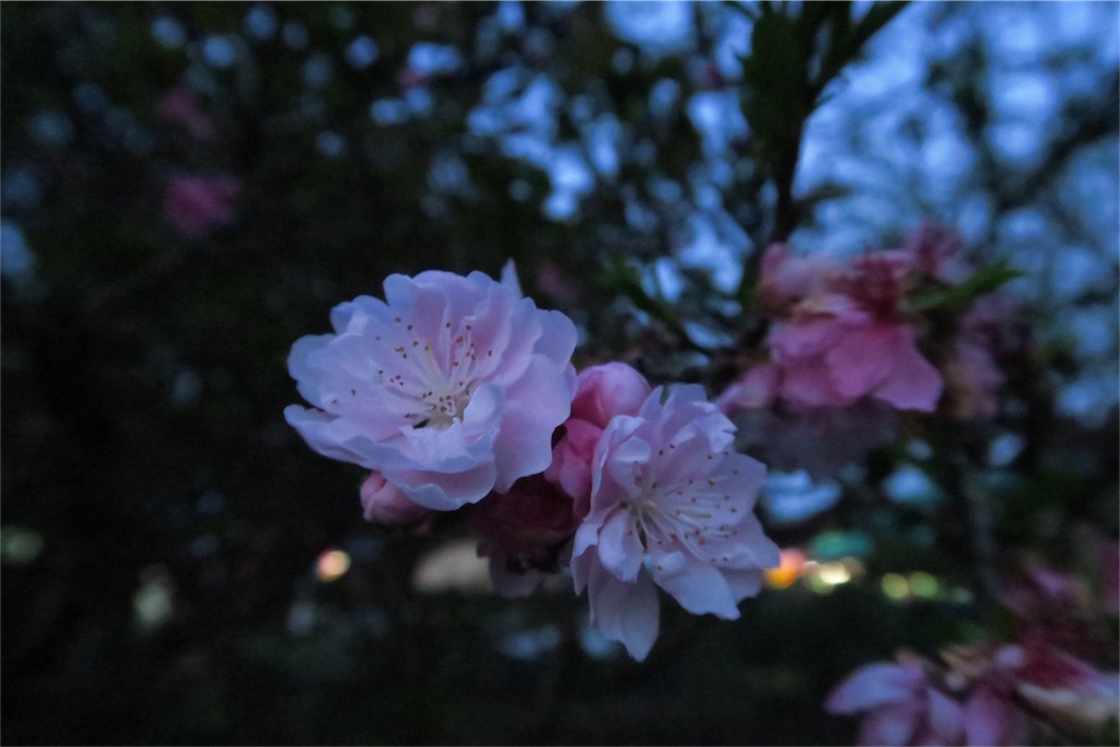 f:id:writertakuma:20160408205134j:image f:id:writertakuma:20160408205134j:image