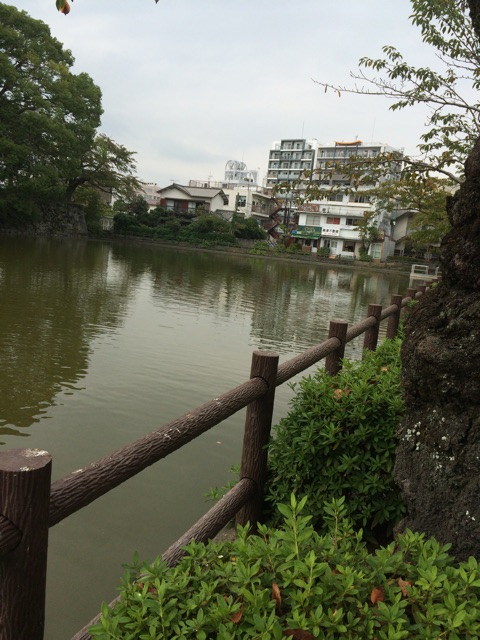 f:id:wtoparty54:20141004152811j:plain f:id:wtoparty54:20141004152811j:plain