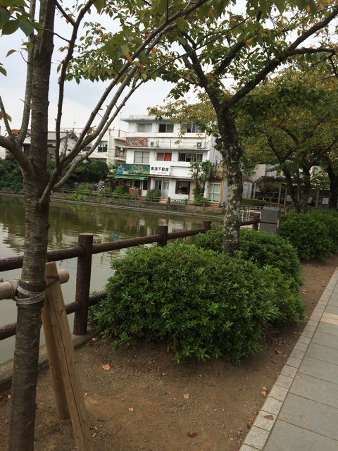 f:id:wtoparty54:20141004152826j:plain f:id:wtoparty54:20141004152826j:plain