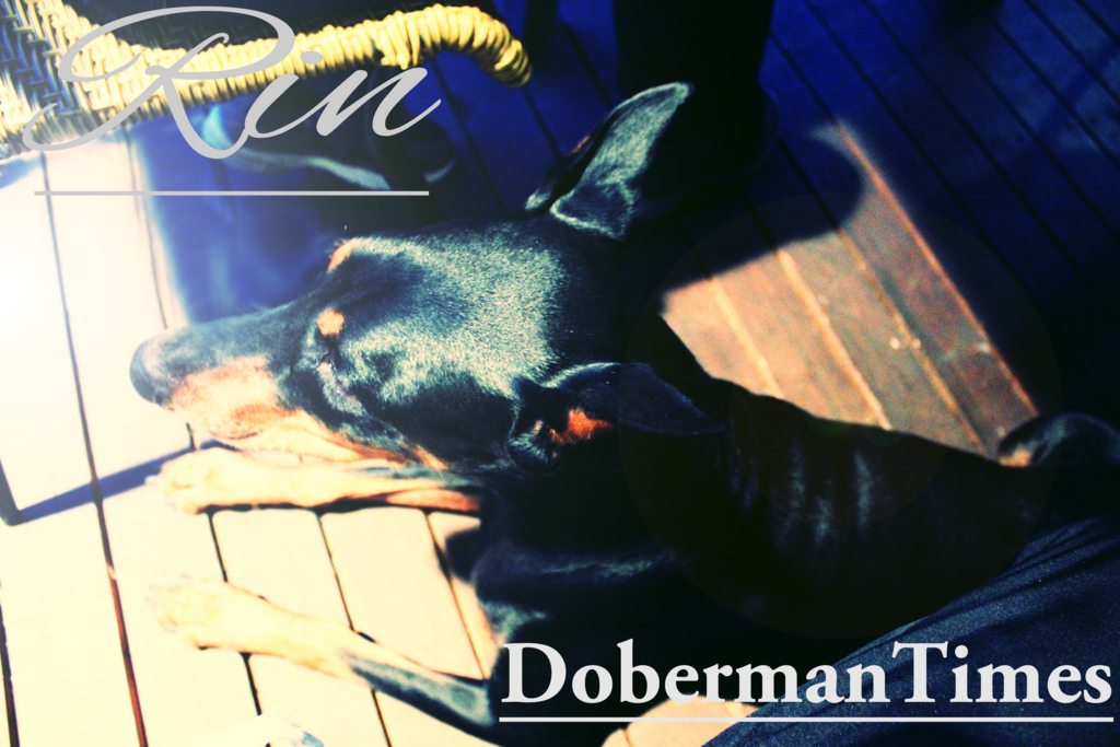 f:id:wwwhite10:20151019133303j:plain f:id:wwwhite10:20151019133303j:plain