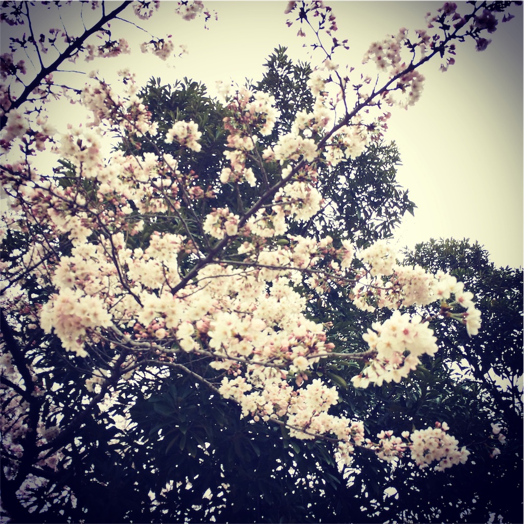 f:id:x1around30:20160403085210j:image f:id:x1around30:20160403085210j:image