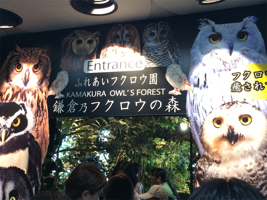 f:id:x1around30:20160505183824j:image f:id:x1around30:20160505183824j:image