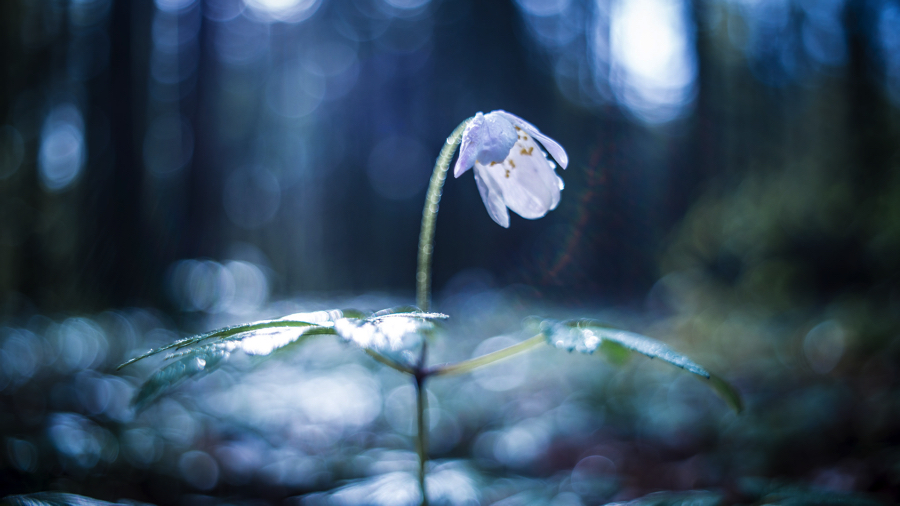 f:id:x93mg:20160420180428j:plain f:id:x93mg:20160420180428j:plain