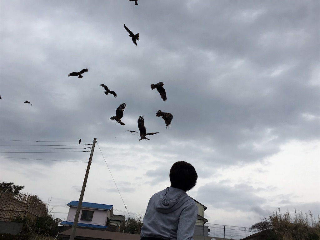 f:id:x_makocchi:20160306164646j:image f:id:x_makocchi:20160306164646j:image