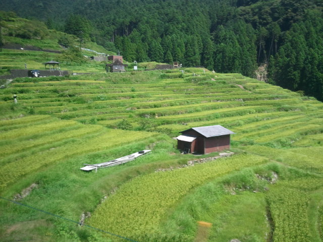 f:id:x_mizucha:20130816133239j:image:w360 f:id:x_mizucha:20130816133239j:image:w360