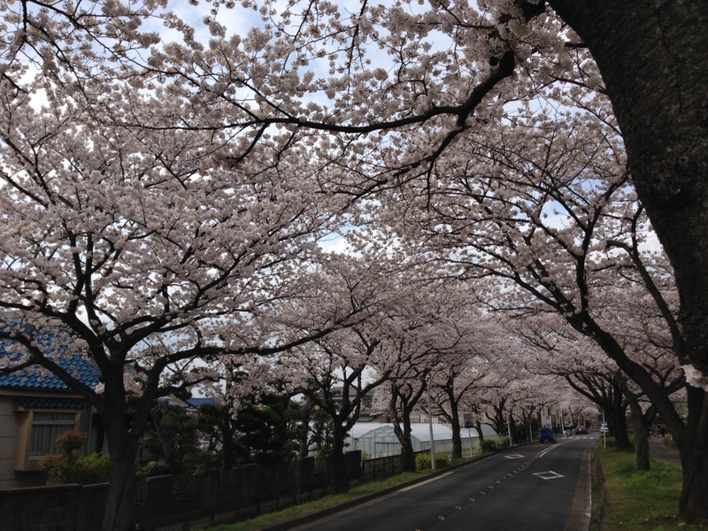 f:id:x_mizucha:20140402135514j:image:w360 f:id:x_mizucha:20140402135514j:image:w360