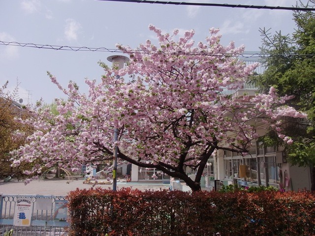 f:id:xaymaca:20100429113754j:image f:id:xaymaca:20100429113754j:image