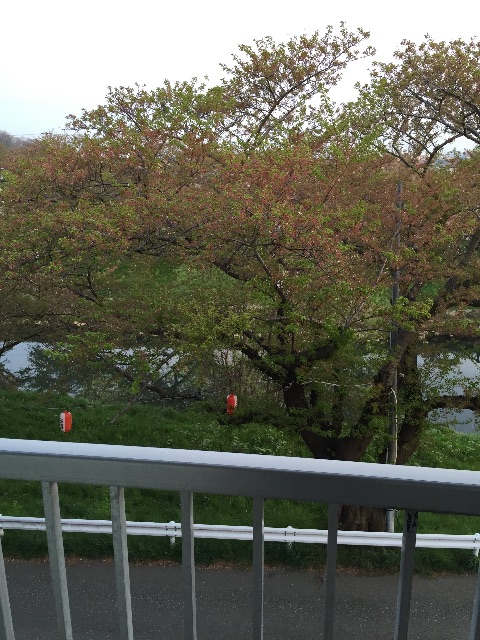 f:id:xiahxx:20150428182939j:image f:id:xiahxx:20150428182939j:image