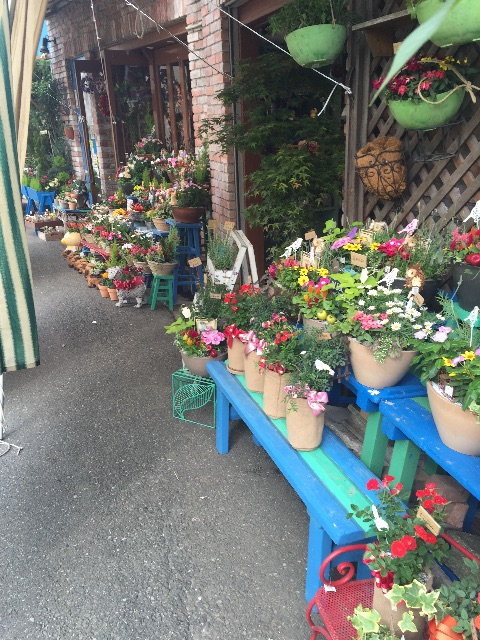 f:id:xiahxx:20150515161329j:image f:id:xiahxx:20150515161329j:image